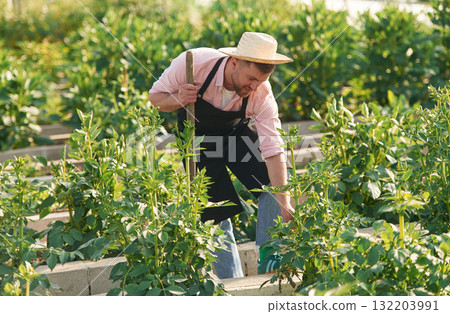 In straw hat. Man in greenhouse is working with plants 132203991
