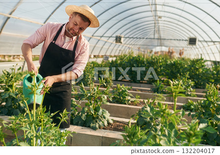 Watering can in hands. Man in greenhouse is working with plants Watering can in hands. Man in greenhouse is working with plants 132204017