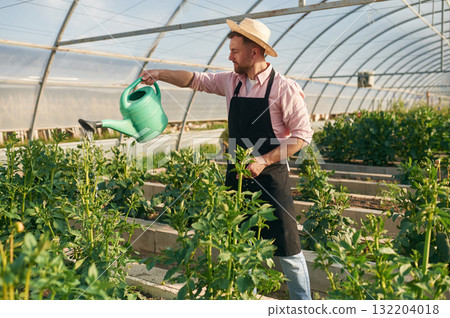 Watering can in hands. Man in greenhouse is working with plants Watering can in hands. Man in greenhouse is working with plants 132204018