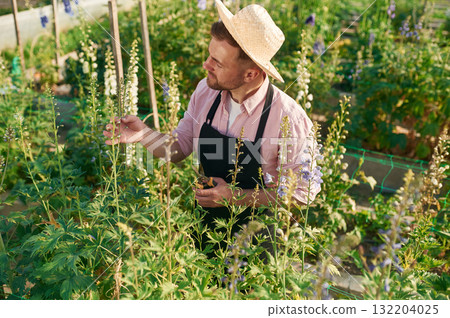 Looking at plants. Man is working in the greenhouse Looking at plants. Man is working in the greenhouse 132204025