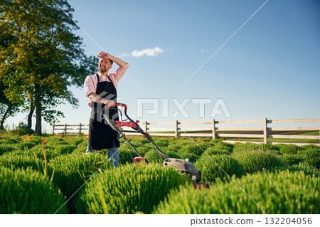 Handles the lawn mower. Adult farmer is outdoors Handles the lawn mower. Adult farmer is outdoors 132204056