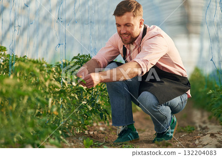Scissors in hands. Man in greenhouse is working with plants 132204083