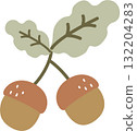 oak pine cone of autumn element, flat vector illustration cartoon design 132204283