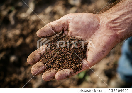 farmer hand holding soil sample, symbolizing sustainable farming practices and land management 132204603