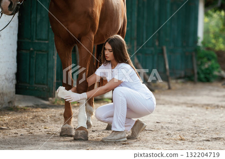 Rewinds the wounded leg. Female vet is with horse outdoors at the farm at daytime Rewinds the wounded leg. Female vet is with horse outdoors at the farm at daytime 132204719