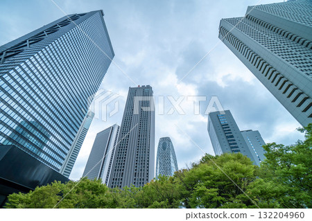 High-rise buildings and cloud sky - Shinjuku, Tokyo, Japan 132204960