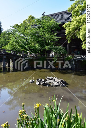 名古屋市：二王門、新綠、太閣橋、笠寺觀音寺（笠寺）的北條池 132205075