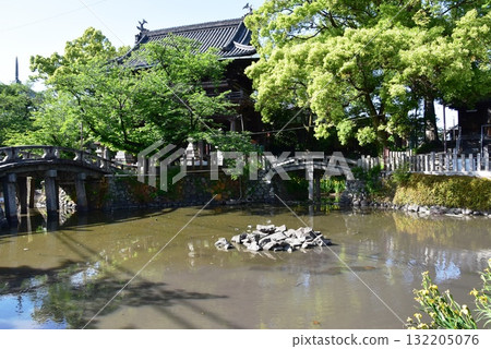 Nagoya City: Niomon Gate, fresh greenery, Taiko Bridge and Hojo Pond at Kasadera Kannon Temple (Kasadera Temple) Nagoya City: Niomon Gate, fresh greenery, Taiko Bridge and Hojo Pond at Kasadera Kannon Temple (Kasadera Temple) 132205076