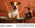 狗打鼓傑克羅素梗鼓組樂隊樂器表演 132205298
