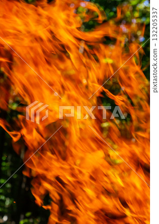 Flame of charcoal fire. Hearth for cooking and heating. Danger in forest 132205337