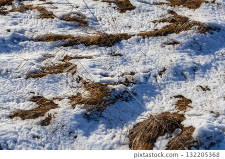Snow-covered ground with patches of dried grass and natural textures revealing the transition from winter to spring in a rural landscape 132205368