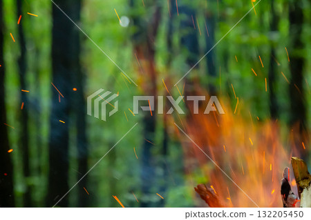 Warm glow of fire illuminating a tranquil forest landscape during a peaceful evening gathering 132205450