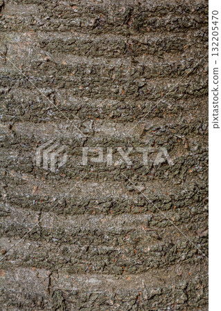 Textured bark of a tree captured in natural light showcasing grooves and patterns that reflect years of growth and environmental influence Textured bark of a tree captured in natural light showcasing grooves and patterns that reflect years of growth and environmental influence 132205470