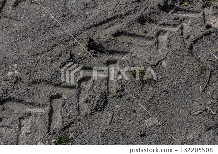 Tire tracks on a dusty path indicating vehicle movement in a rural area during sunlight 132205508