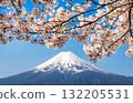 Mountain Fuji and sakura cherry blossom in Japan spring season 132205531