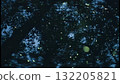 Night forest scenery with fireflies flying around Night forest scenery with fireflies flying around 132205821