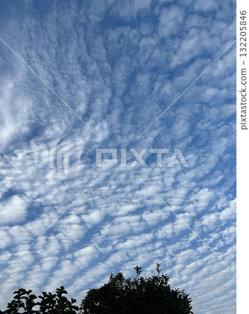White clouds in the blue sky in autumn White clouds in the blue sky in autumn 132205846
