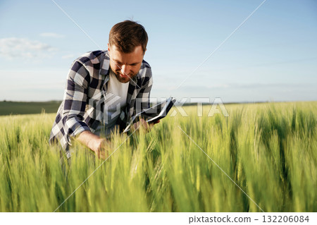 Checking the growth of wheat, with tablet. Handsome man is on the agricultural field at daytime 132206084