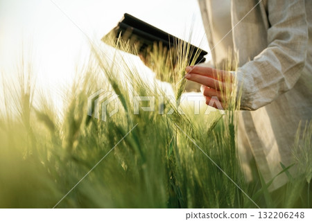 Digital tablet in hand. Woman in white is on the agricultural wheat field 132206248