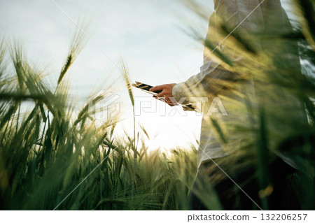 Looking for growth process, with digital tablet. Woman in white is on the agricultural wheat field Looking for growth process, with digital tablet. Woman in white is on the agricultural wheat field 132206257