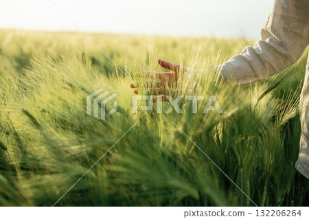 Woman in white is on the agricultural wheat field Woman in white is on the agricultural wheat field 132206264