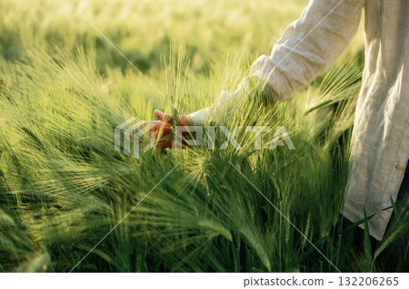 Woman in white is on the agricultural wheat field Woman in white is on the agricultural wheat field 132206265