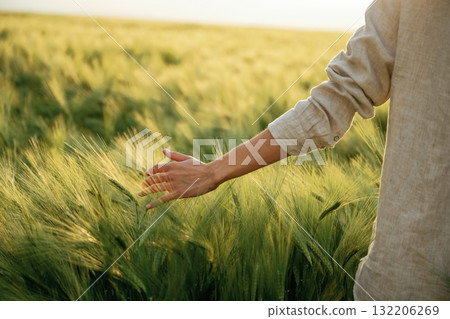 Touching the plants. Woman in white is on the agricultural wheat field 132206269