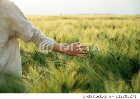 Touching the plants. Woman in white is on the agricultural wheat field Touching the plants. Woman in white is on the agricultural wheat field 132206271