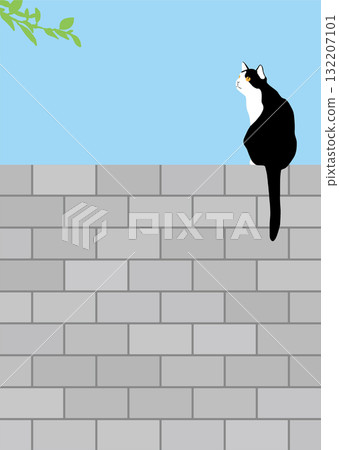 籬笆上的一隻黑白貓似乎注意到了什麼 132207101