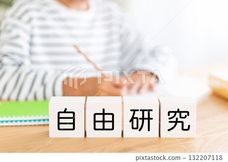 Elementary school boy studying with blocks for independent research 132207118