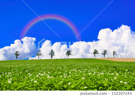 彩虹在北海道美麗的田園風光之上 132207243