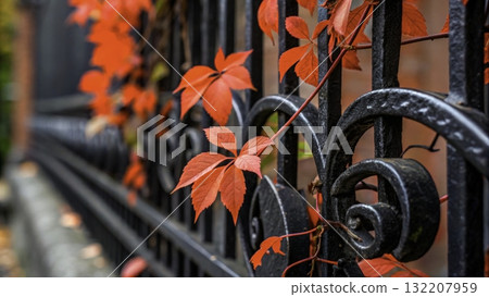 Vibrant red leaves climbing an ornate black fence in a serene autumn setting  132207959