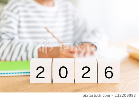 小學男孩用 2026 塊積木學習 132209088