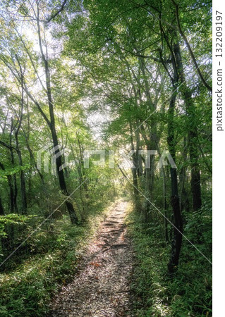 Summer mountain climbing scenery with morning mist 132209197