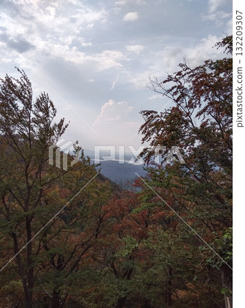 Machovo lake and bezdez castle emerging from colorful autumn foliage in czechia 132209307