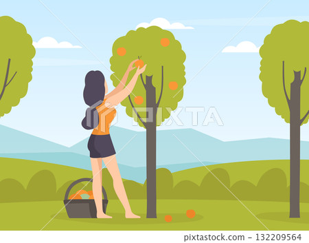 Garden with Woman Character Working in the Yard Pick Fruit Vector Illustration Garden with Woman Character Working in the Yard Pick Fruit Vector Illustration 132209564