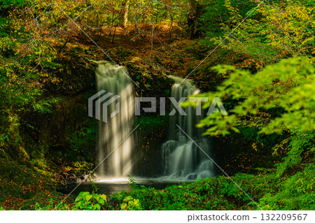 【山梨縣富士吉田市】初秋的金山瀑布，綠意盎然 132209567