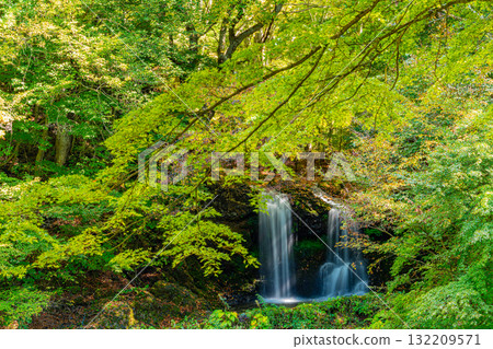 [Fujiyoshida City, Yamanashi Prefecture] Kaneyama Falls in early autumn, when the greenery remains 132209571