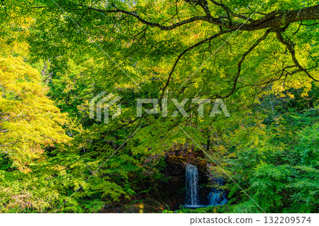 [Fujiyoshida City, Yamanashi Prefecture] Kaneyama Falls in early autumn, when the greenery remains 132209574
