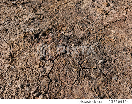 Dry cracked earth representing drought and climate change in prague copy space wallpapper Dry cracked earth representing drought and climate change in prague copy space wallpapper 132209594