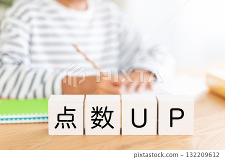 小學男孩用積木學習以提高成績 132209612