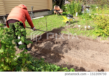 A male farmer prepares a garden bed for planting garlic, while a pensioner rakes the soil A male farmer prepares a garden bed for planting garlic, while a pensioner rakes the soil 132209730