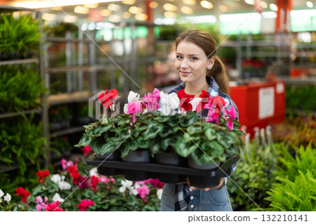 Girl works as auxiliary worker in plant store warehouse, review cyclamen Girl works as auxiliary worker in plant store warehouse, review cyclamen 132210141