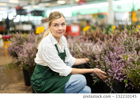 Girl works as auxiliary worker in plant store warehouse, review calluna shrub Girl works as auxiliary worker in plant store warehouse, review calluna shrub 132210145