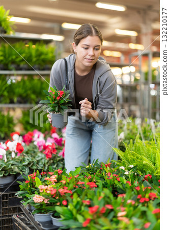Girl buys flowers at a flower shop. She carefully selects best Euphorbia milii 132210177