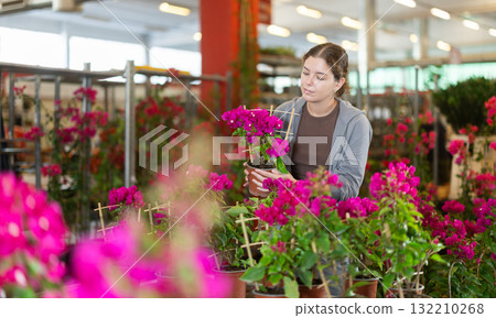 Young woman chooses bougainvillea flowers in flower shop 132210268
