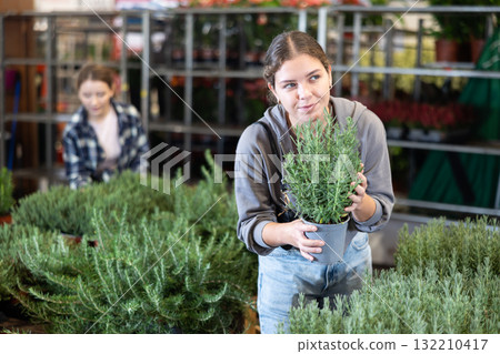Girl works as auxiliary worker in plant store warehouse, review rosemary spicy herb Girl works as auxiliary worker in plant store warehouse, review rosemary spicy herb 132210417