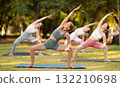 Group of young women doing yoga in park 132210698