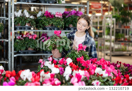 Girl works as auxiliary worker in plant store warehouse, review cyclamen Girl works as auxiliary worker in plant store warehouse, review cyclamen 132210719