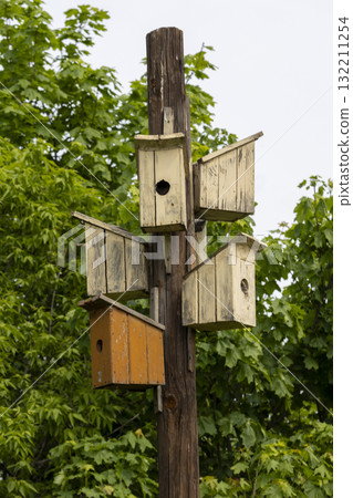 many colorful wooden birdhouses hanging in the park in spring many colorful wooden birdhouses hanging in the park in spring 132211254